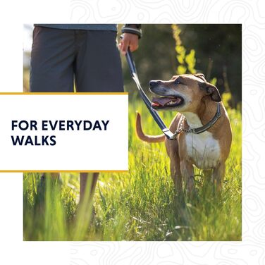 Нашийник для собак RUFFWEAR Chain Reaction, синій, розмір M