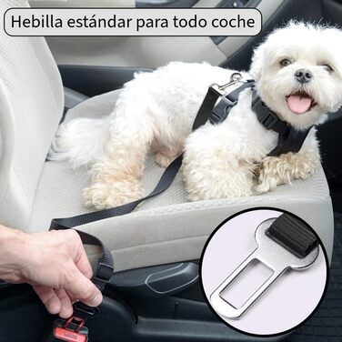 Регульоване об’їжджне дзеркало для собак маленьких порід з автомобільним страхувальним тросом, посилене, безпечне та зручне, розмір S