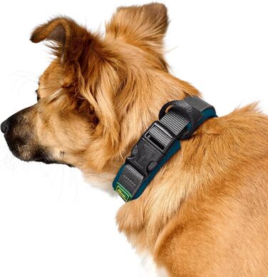 Крісло HUNTER Hasband Madon: дихаюча сітка, міцний нейлон, гіпоалергенне, з регулюванням напруження, вбудований адресник, розмір S, petrol