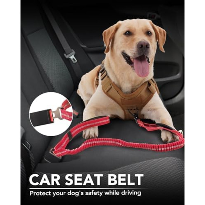 Тактична повідок для собак Joytale, еластична (bungee) повідок з 2 м'якими ручками, автофіксатор, повідок без ривка для собак середніх, великих та екстра-великих порід (1.2м-1.8м, червона)