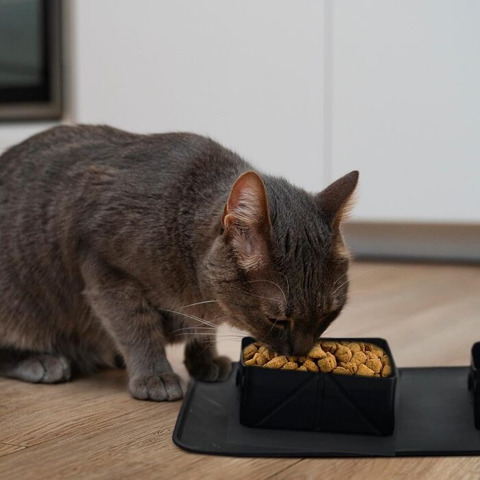 Складні миски для собак та котів, 2 шт. Зіліконовий посуд для тварин, портативні миски для подорожей, чорний