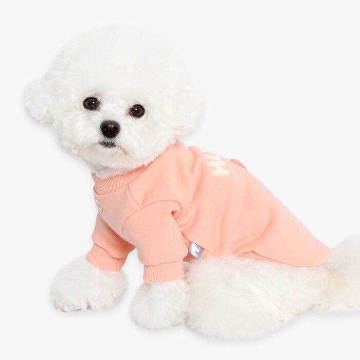 Світшот для собак маленьких порід Its Dog & Kangachi, 100% органічна бавовна, модель 'Hug e', колір зелений (кораловий, S)