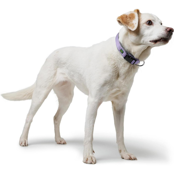 Нашийник для собак HUNTER Neopren Vario Plus, лаванда/сірий, S-M