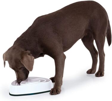 Миска для собак Edupet 06027AA, Anti-Schling Napf, Slow Feeder, 300 мл, 21 см, бежева