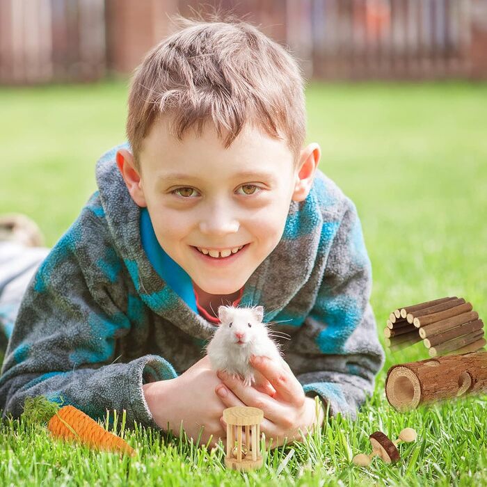 Аксесуари для клітки Sofier: іграшки для морських свинок, щурів, шиншил, хом'яків. Дерев'яне укриття, мостик, жувальні палички з яблуневої деревини.