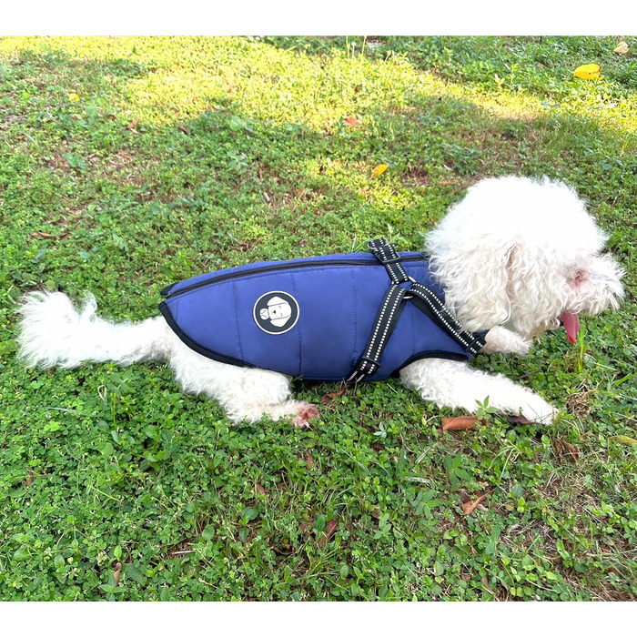 Водонепроникний теплий зимовий одяг для собак, куртка з шлейкою, для маленьких, середніх та великих собак, для Лабрадора, Чихуахуа, Французького бульдога, S (2-3 кг), блакитний