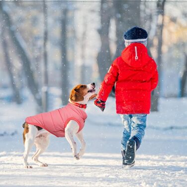 Тепла куртка для собак Meioro: зимовий пуховий жилет для французького бульдога, мопса та інших порід