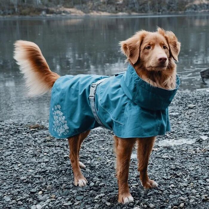 Дощовик для собак Hurtta Monsoon, водонепроникний, з відбивачами, блакитний, 35/36 см