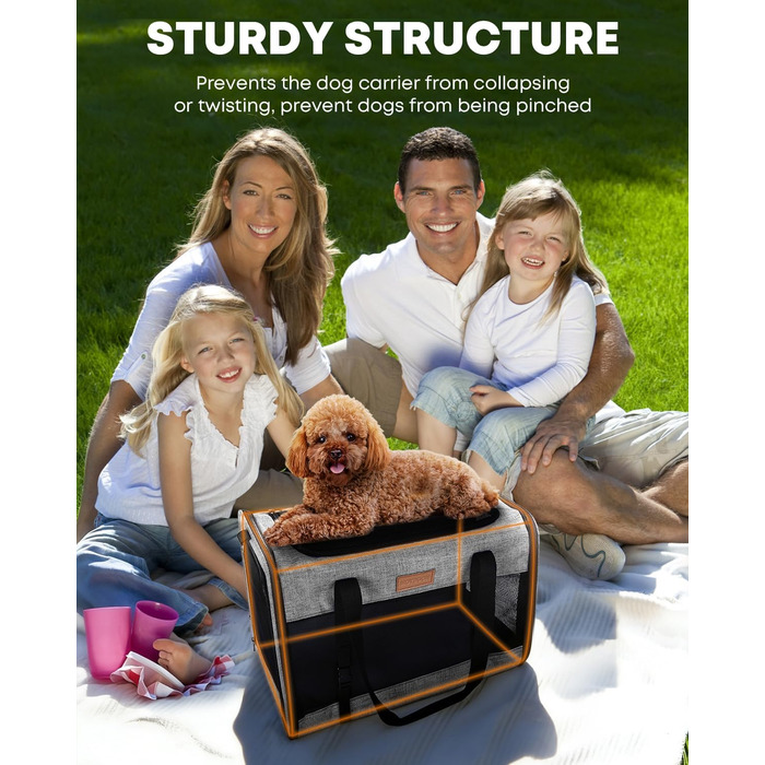 FOXFOCUS Сумка-переноска для собак з м'якими боковинами – 50,8 x 33 x 33 см, безпечний автокрісло, до 6,8 кг, верхній та бічний вхід, велика переноска для тварин з міцним сіткою (сірий)