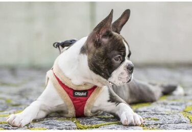 М'який нашийник для собак CHIARA MIA, розмір XL, червоний, водонепроникний, з клямками, світловідбиваючі смуги