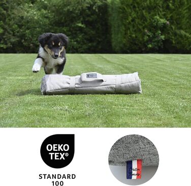 Килимок для собак великих порід, прямокутний, захищає суглоби - двостороннє собаче ліжко, літо/зима, легко переносити, не деформується, можна прати в машині (S (60 x 45 см), Бежевий)