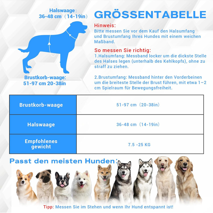 LED нашийник для собак з повідком, світловідбиваючий, перезаряджуваний, для нічних прогулянок