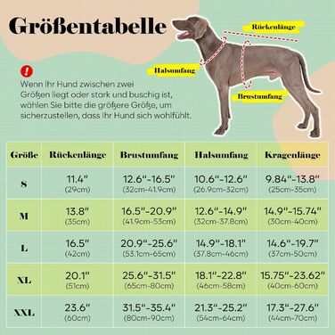 Елегантний костюм для собак Illumifun з краваткою та банданою, комплект для святкування, смокінг, жилет, сорочка, костюм для домашніх тварин знімний комірець (M)