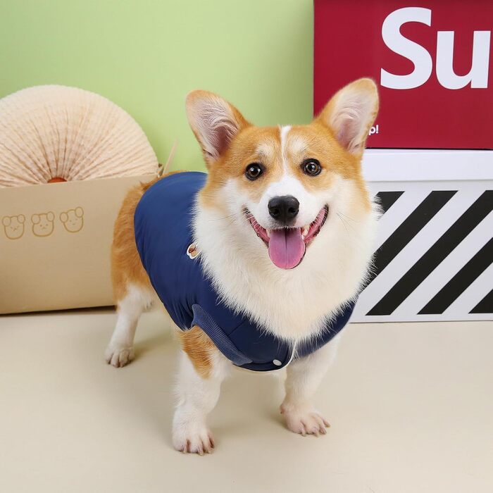 Зунеа - Зимові куртки для собак, коргі, джек-рассел, малі та середні породи, флісова підкладка, D-кільце, тепла, для холодної погоди, жилет, одяг для цуценят, домашній улюбленець, (3XL, Синій)