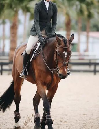 Чоловічий шкіряний ремінь Fuwok, довжина 45 см