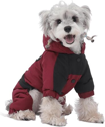 Зимовий теплий куртка для собак маленьких порід з капюшоном, водонепроникний, з підкладкою з графіту, розмір S, червоний