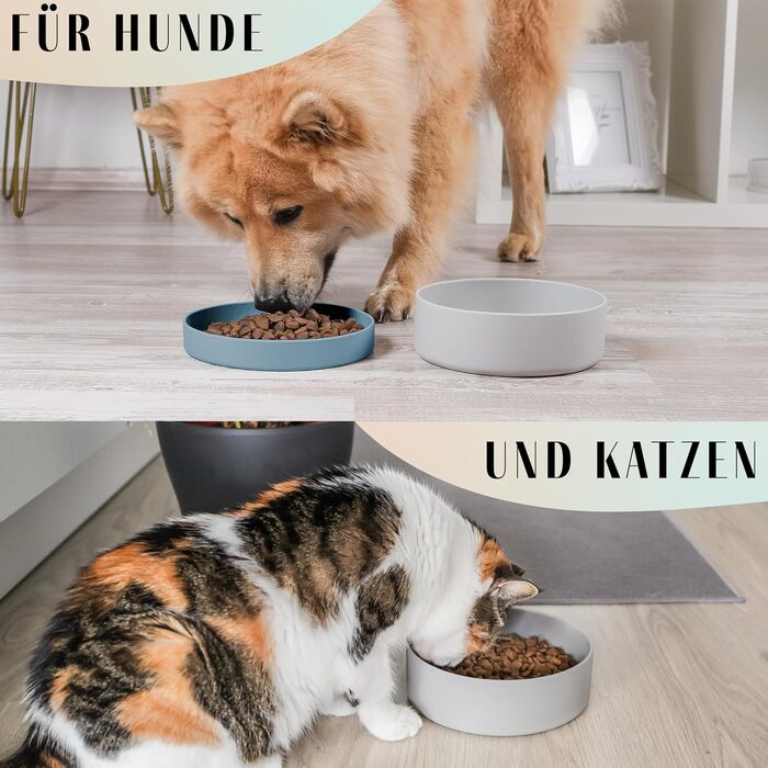 Миска для собак Ne&no® Silikon 1200 мл з кришкою | Безпечна, неслизька, для малих та середніх собак | Набір миски та кришки (сталево-блакитний)