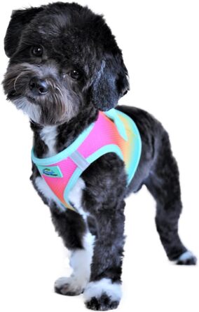 Шлейка для собак DOGGIE DESIGN American River, омбре, без удушення, розмір XXL, для прогулянок та пляжу