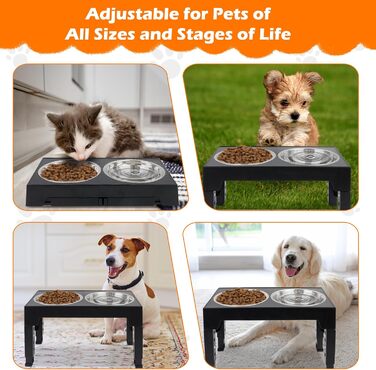 Підвищена годівниця для собак та котів, регульована висота, з нержавіючої сталі, 2 миски, чорна