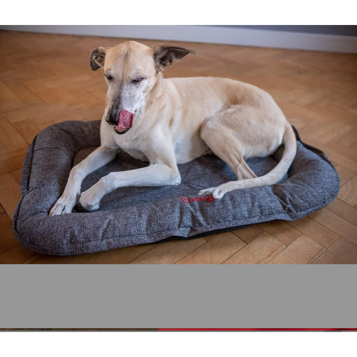 iEnergy GIS - Лежанка для собак Outdoor, ідеальна для відпочинку на природі, в подорожах та в авто