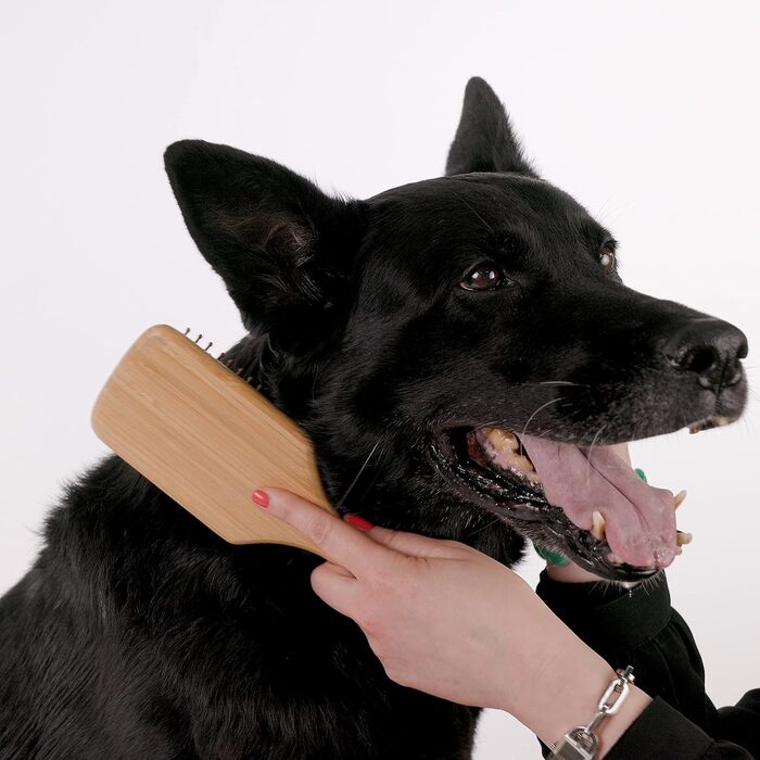 Щітка для собак Margot Schmitt з бамбука, GlanzFell