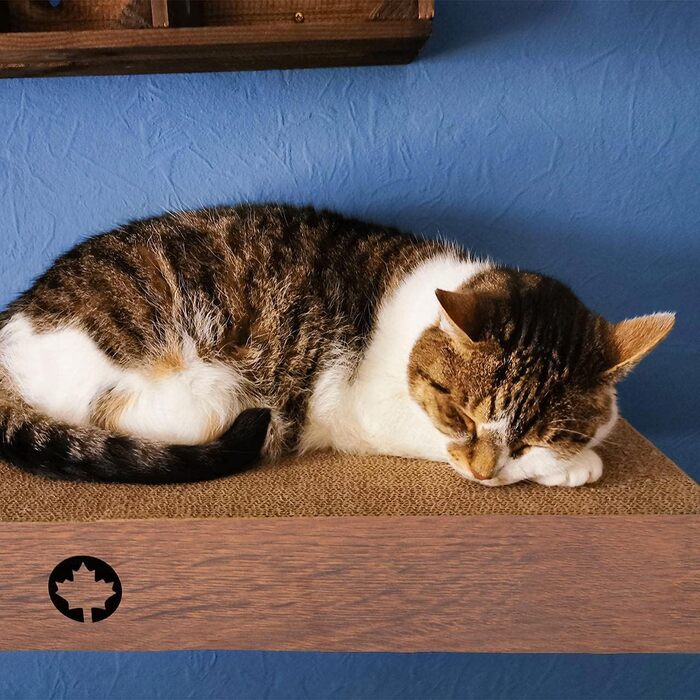 CanadianCat Company Когтеточка-набір із 3 панелей для котів Cloud, настінна кріплення, горіх, 70x30x8 см, килимок для лазіння
