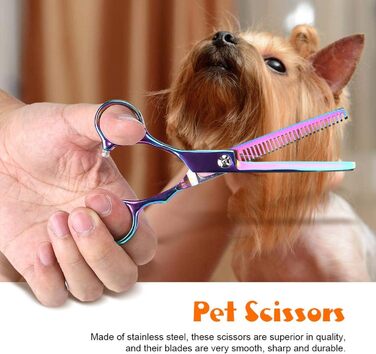 Набір професійних ножиць для грумінгу собак Restokki, нержавіюча сталь, для догляду за довгою та короткою шерстю собак, котів та інших домашніх тварин