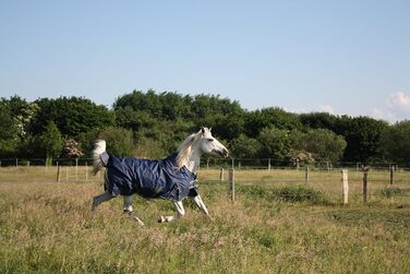 Кінська зимова попона time4horses 1200D з високою горловиною, 300 г, водонепроникна, для стайні та пасовища, 145 см
