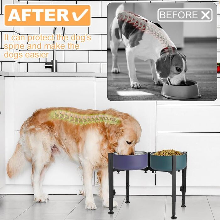 Підставка для годівлі собак з регулюванням висоти та ширини, для середніх та великих тварин