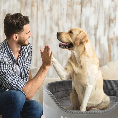 Ортопедичне ліжко для собак PETCUTE середнього розміру, миється, подушка для собак, котячі ліжка, кошик для собак з неслизьким дном, заспокійливе ліжко для домашніх тварин, блакитний+сірий