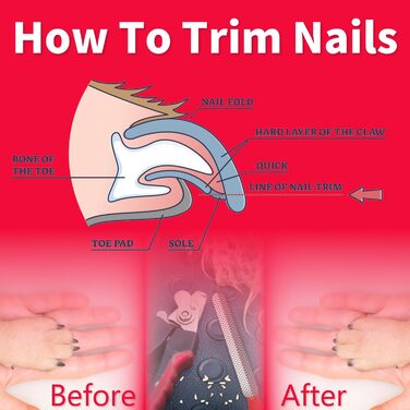 Кліпер для нігтів собак OCBA з захистом від перерізання та пилочкою, професійний, для всіх порід, також для котів та кроликів, червоний/чорний, маленький