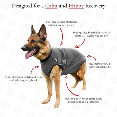 Захисний боді для собак після операції (кастрація/стерилізація), альтернатива нашийнику, сірий, 2XL