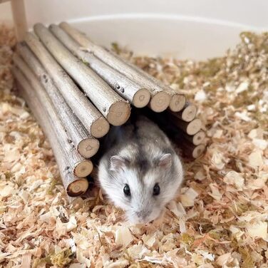 Туннель-іграшка для хом'яків та гризунів DEMONTALK з натурального дерева, тунель-труба для хом'яків, щурів, мишей