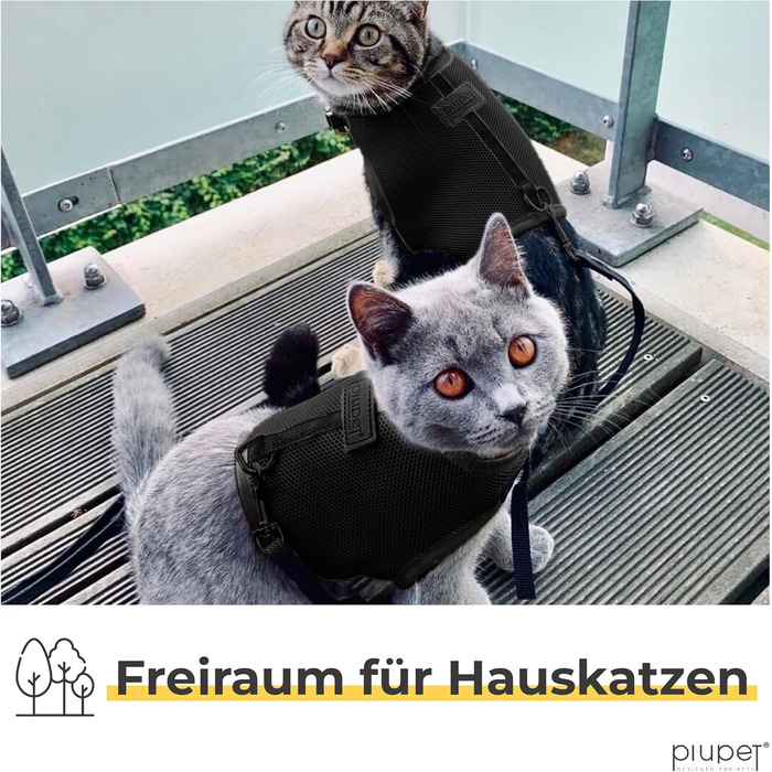 Шлейка для котів PiuPet® (S) з повідком 1,2м | Захист від втечі | Чорний колір | Розмір S (21-24см обхват шиї, 36-40см обхват грудей)