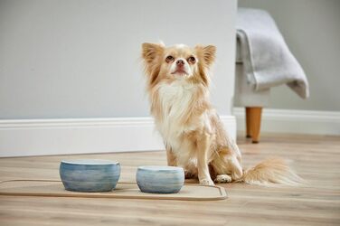 Миска для собак Wolters Diner Stone XL, 2.0 л, блакитна