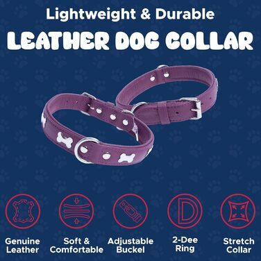 Шкіряний нашийник для собак Angel Pet Supplies, подвійний, фіолетовий, з кісточками, регульований, 29-36 см, преміум якість