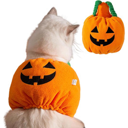 колір: капуста