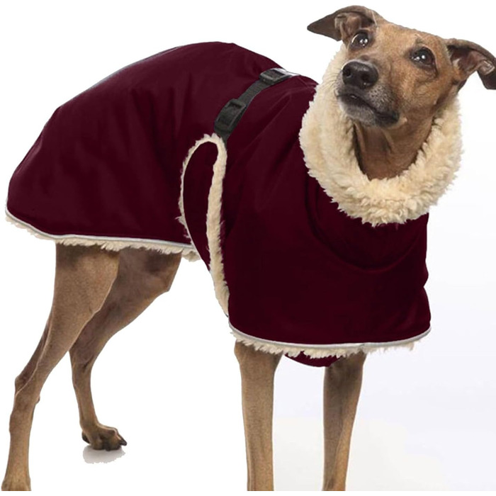 Теплий зимовий одяг для вайлетів та інших собак: тепла куртка з флісовою підкладкою