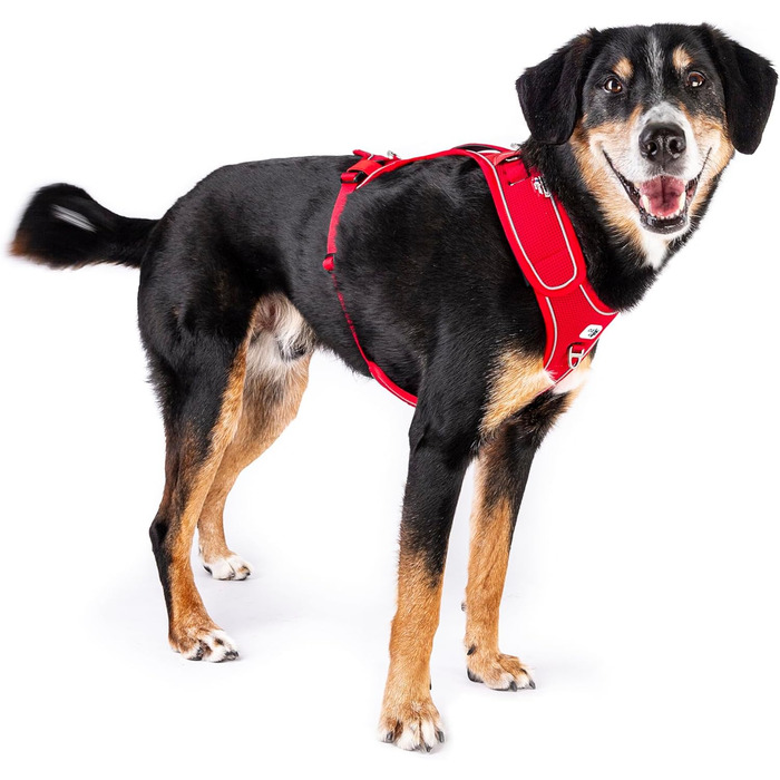 Шлейка для собак Belka, регульована, чорна, XL