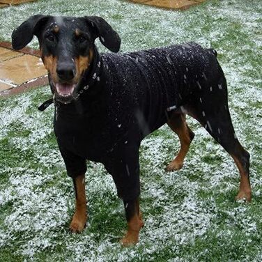 Чохол Puover великий зелений (чорний, L)