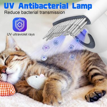 Парова щітка для собак та котів, 2-в-1 з UV-стерилізацією, для вичісування ворсу та підшерстка