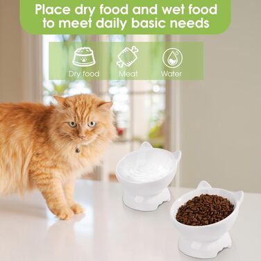 Набір мисок для котів (2 шт.), підняті, з захистом шиї, 15° нахил, кераміка, для корму та води - білий