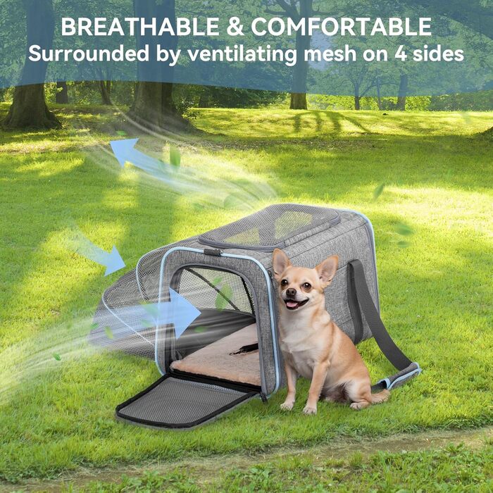 Транспортна сумка для кота та собаки Petsfit, розширювана переноска з плечовим ременем, сумка-переноска для собак та котів, авіапереноска, оксфордська тканина, M, Зелений/Односторонній зелений (Сірий, M/Односторонній)