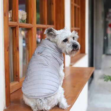 Зимовий одяг для собак: перевертається, теплий, водонепроникний, вітронепроникний, з пуховою підкладкою, для малих та середніх собак, сірий, розмір XL