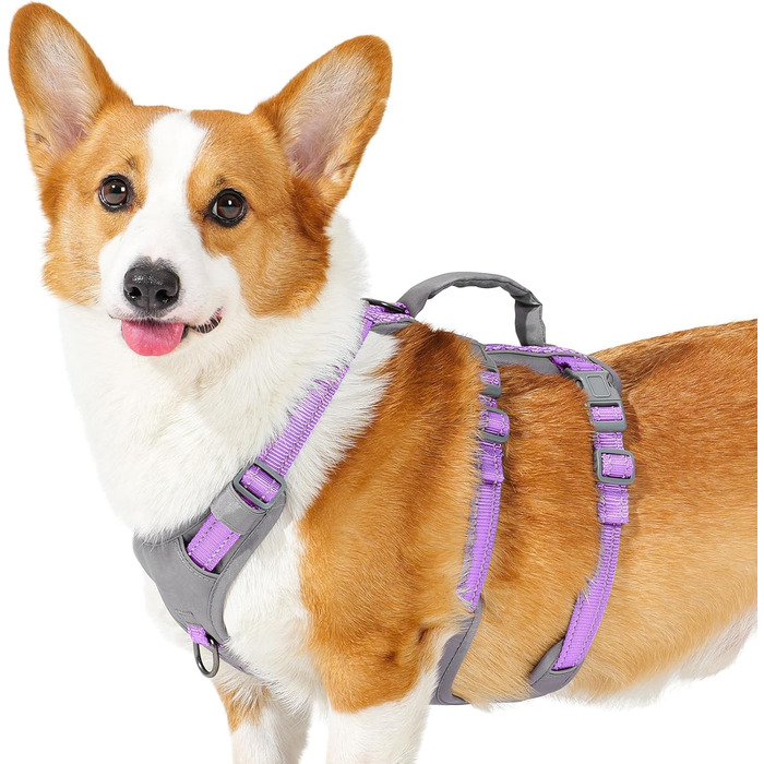 Шлейка Huntboo для собак - антистресова, з ручкою, для малеких, середніх та великих порід (S, M), лавандова