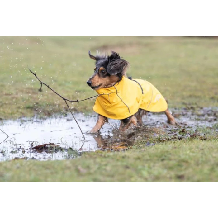 Жовтий дощовик для собак Rukka Pets Hayton Eco (25)