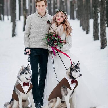 Костюм для собак Kuoser з банданою та краваткою, теплий халат для собак, костюм для цуценят, набір для святкування вечірки, Хелловін, день народження, S-XXL, M-довжина спини: 35 см (L--довжина спини: 42 см, Колір: Коричневий)