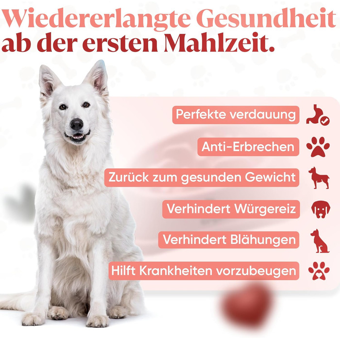Миска для собак великих порід, повільне годування, антигликальна миска, для здоров'я травлення, проти блювоти, нековзна підставка, рожева, для великих та XXL собак