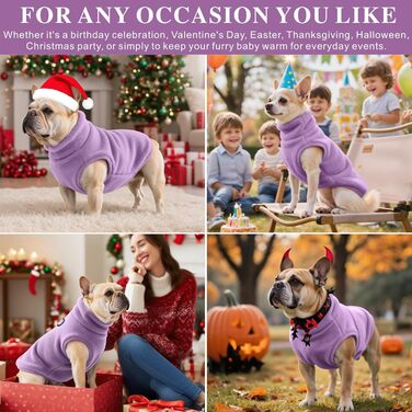 Теплий зимовий одяг для собак: куртка, худі, пуловер, комбінезон. Підходить для малих, середніх та великих собак. Кольори: зелений, фіолетовий. Розміри: X-XXL