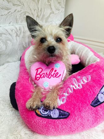 Ліжко для домашніх тварин Barbie у вигляді плюшевого авто